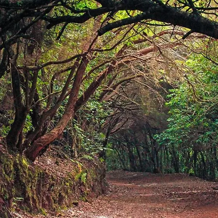 بيت للعطل Almendro Arico Viejo