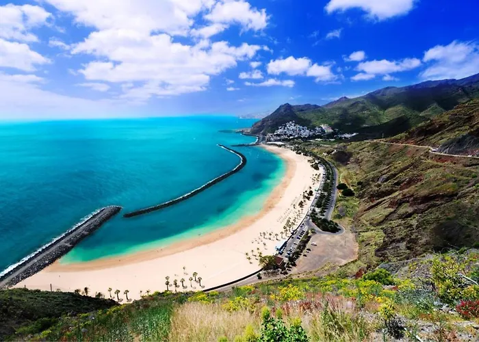 Almendro Arico Viejo