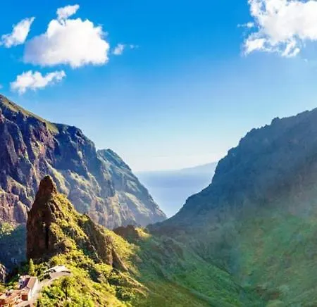 Almendro * Arico Viejo