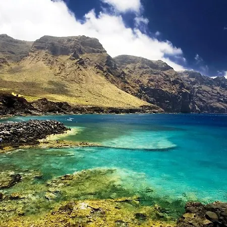 Almendro * Arico Viejo