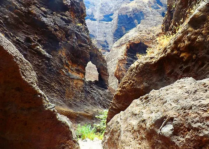 Сasa de vacaciones Almendro Arico Viejo