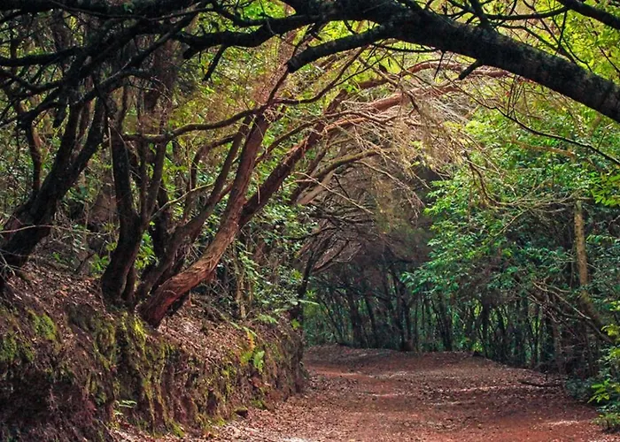 Сasa de vacaciones Almendro Arico Viejo