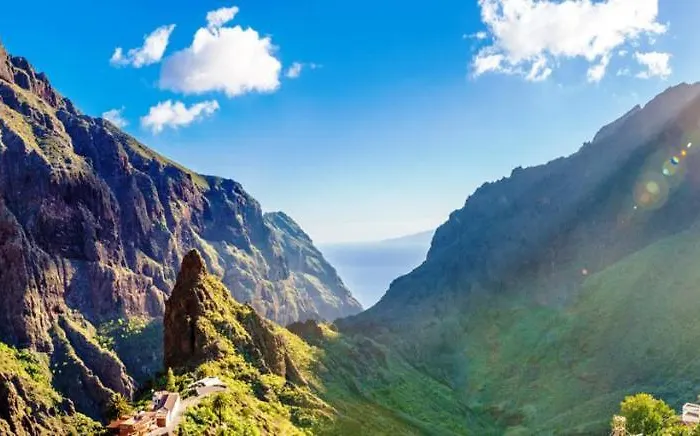 Almendro * Arico Viejo